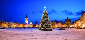 Realizace výzdoby vánočního stromu